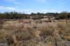 22375 W Sunrise Rd photo